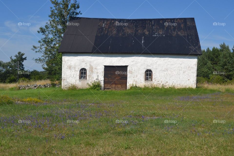 vitkalkat lada flowers sweden by anetteaventyr