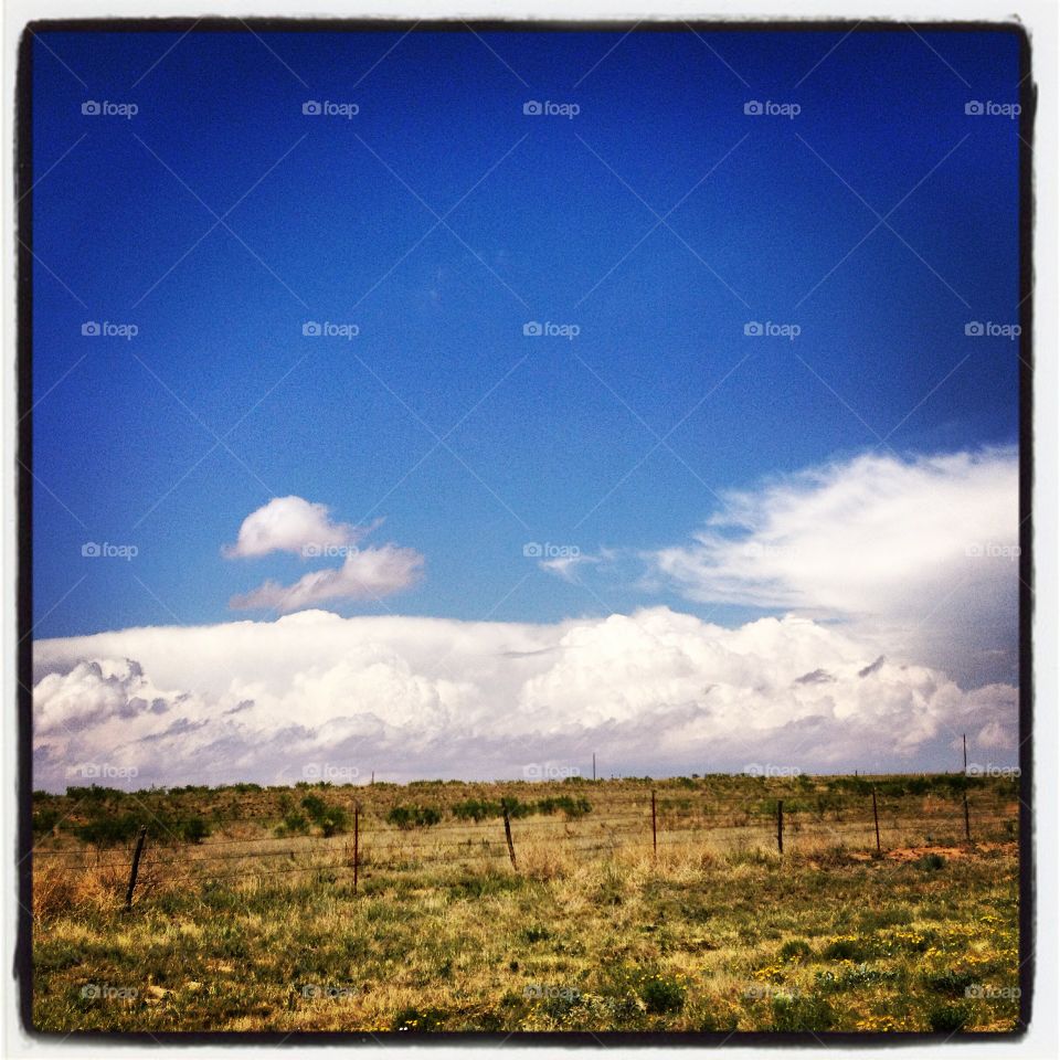 Blue skies over green fields in West Texas.