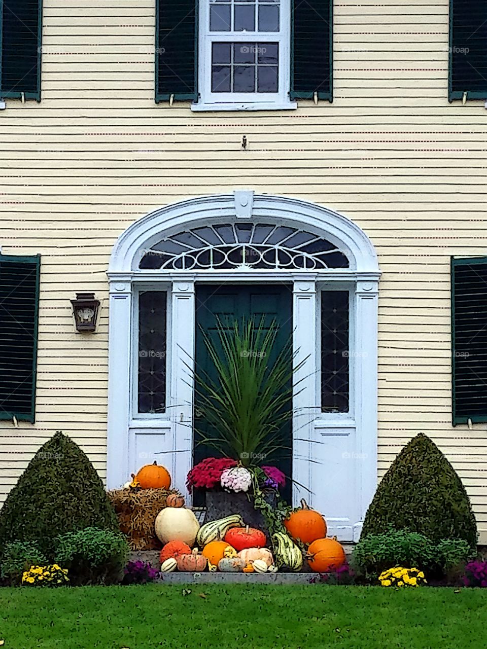 Rectangular door and windows.