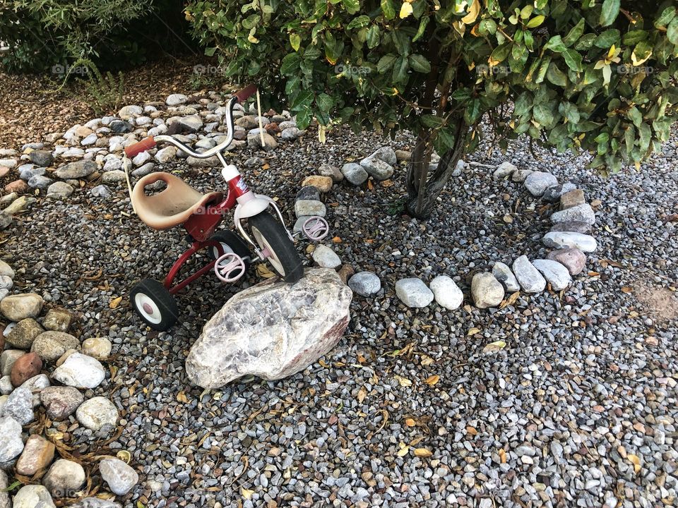 Red tricycle at rest in the landscape