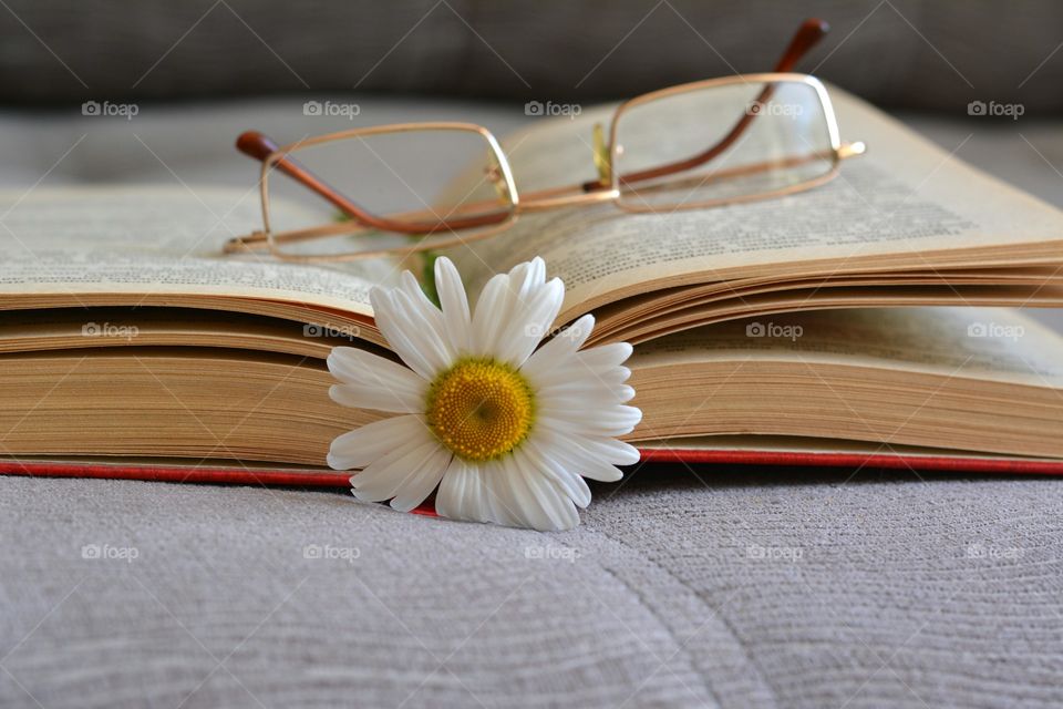 love reading books, flower and glasses in the room