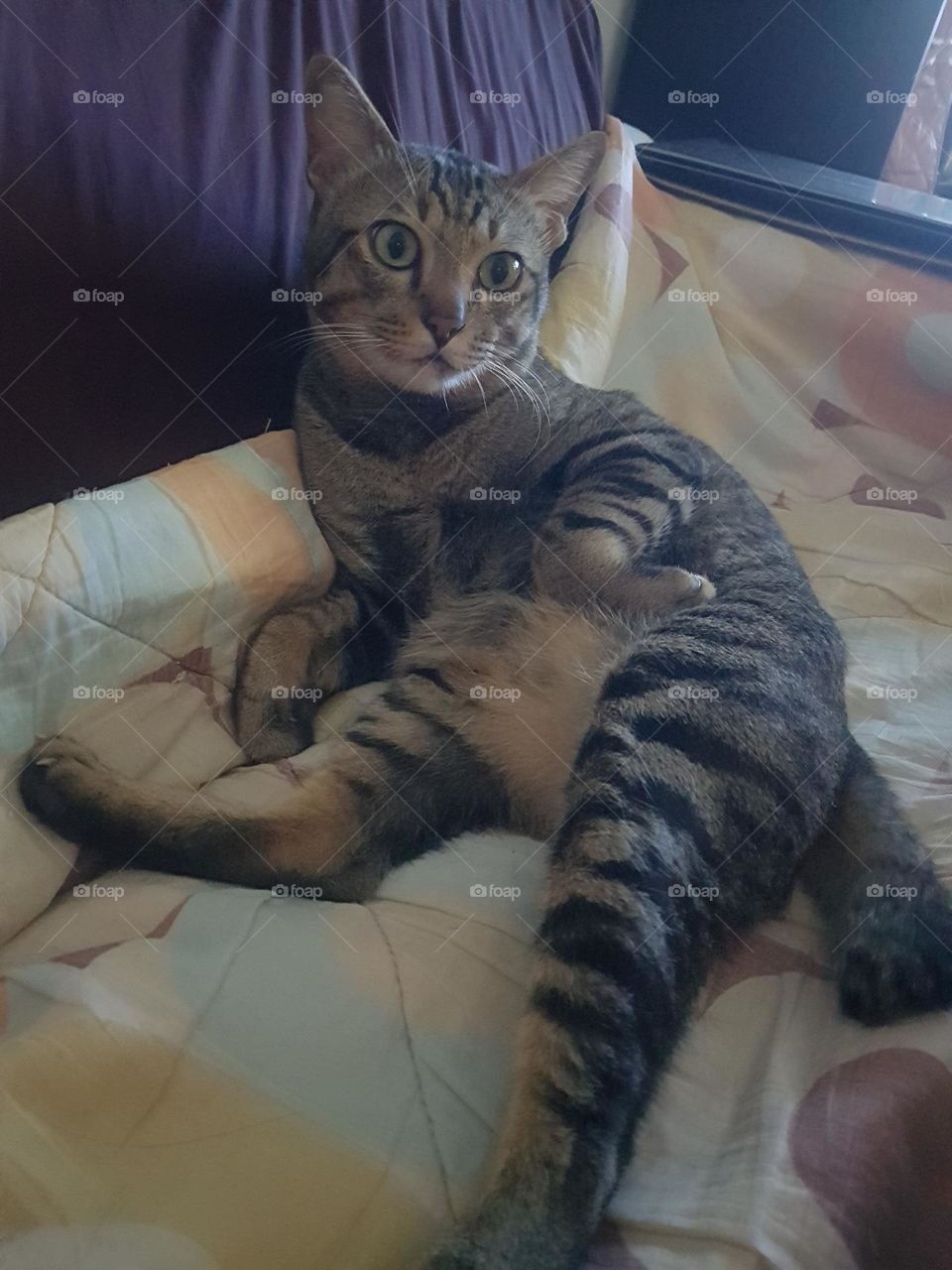 seductive and annoying