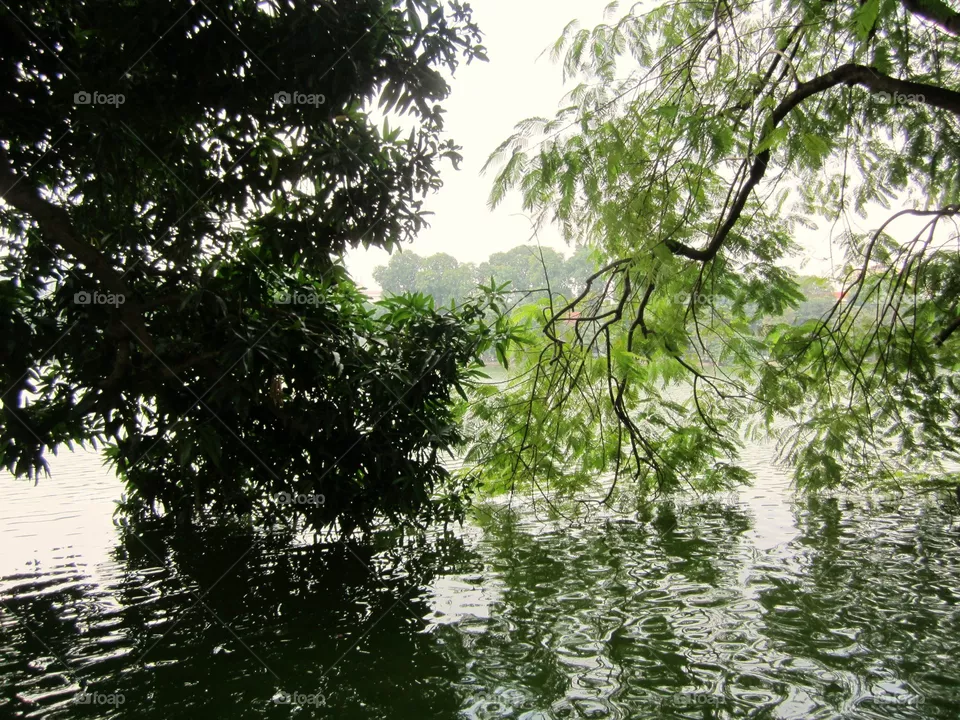lake