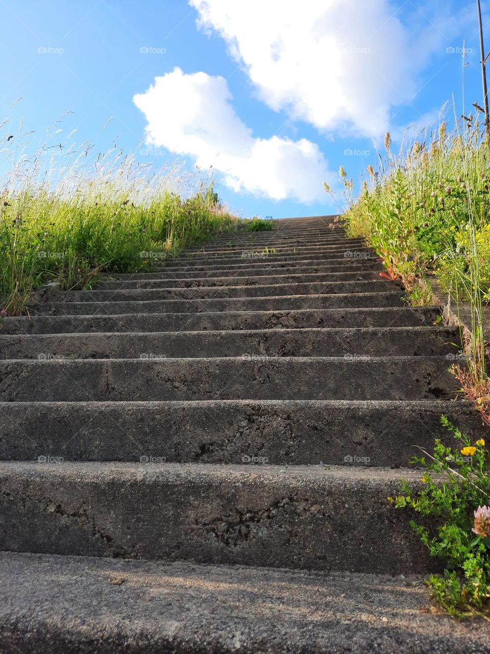 stairs