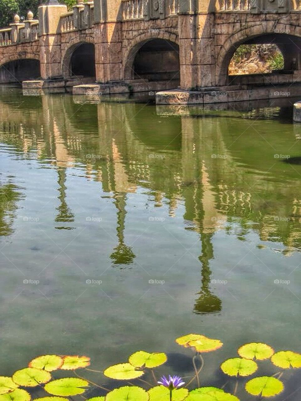 Reflections at sun city