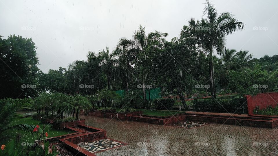 Rainday Image