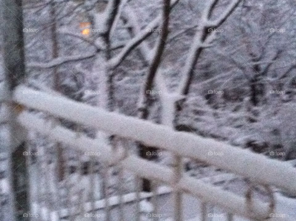Snow railing 