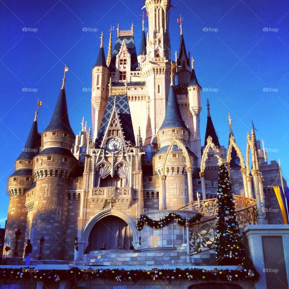 Disney World 2014