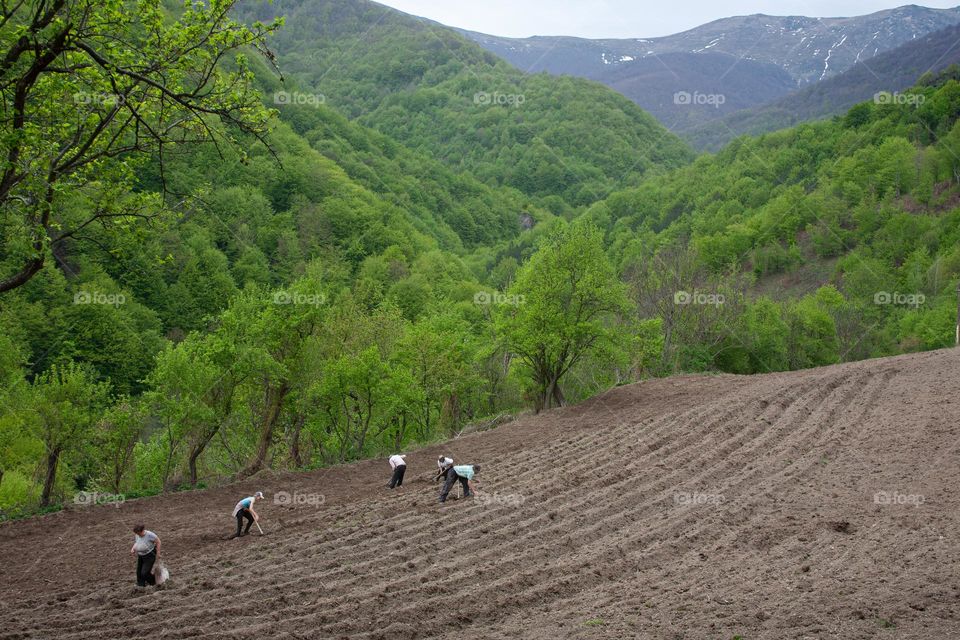 Spring field work 