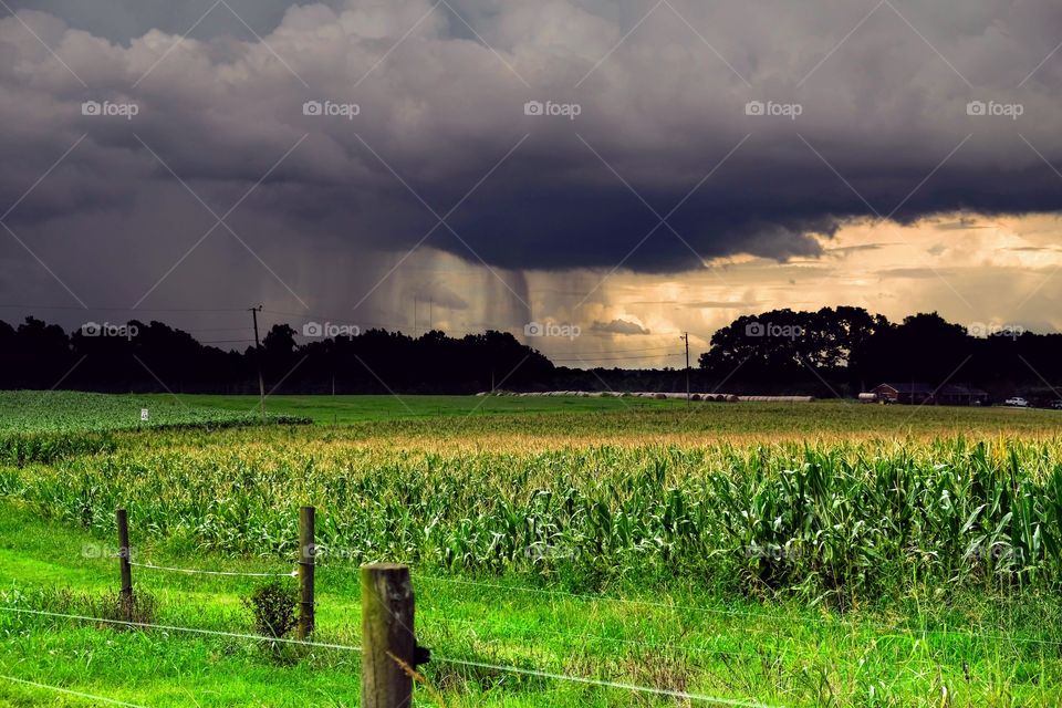 Foap, Cities and Countrysides: A storm moves in over the cornfield. Raleigh, North Carolina. 