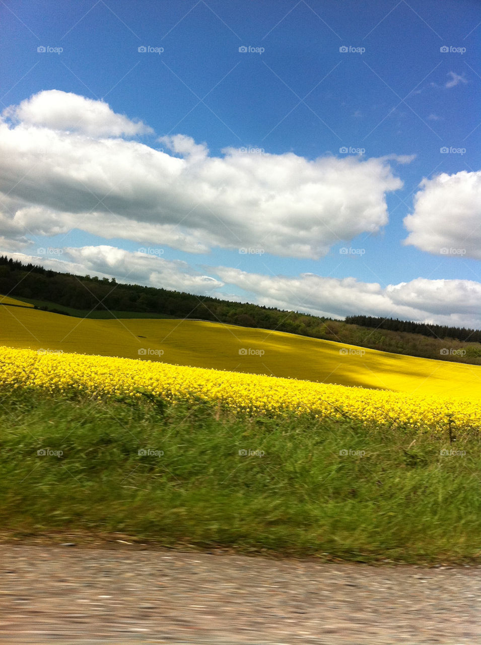 landscape sky green field by upyanose