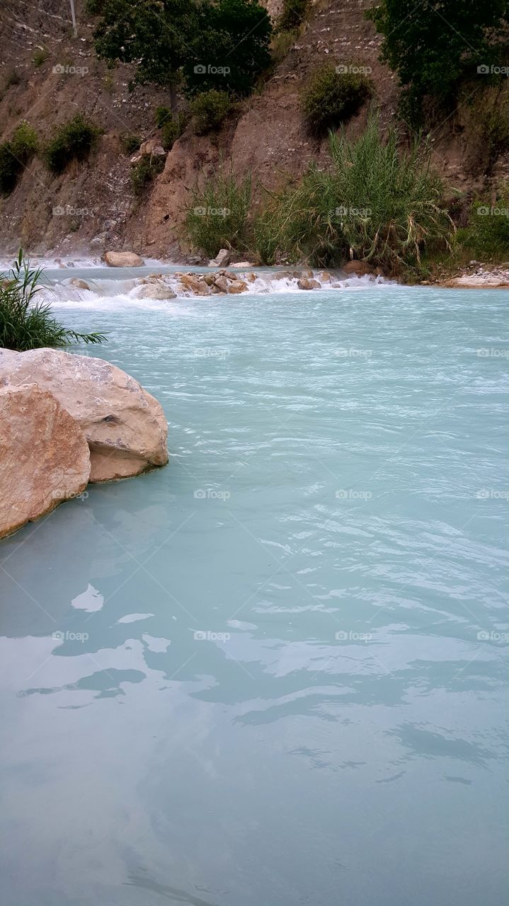 Stream flowing in forest