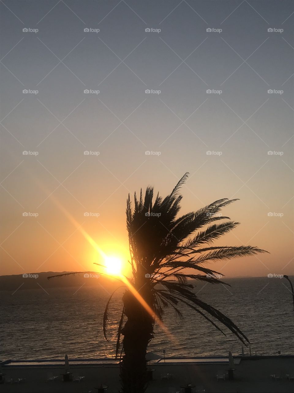 a beautiful sunset at the Pacific ocean in Paracas, Peru. A palm tree and the sun colliding with each other. 