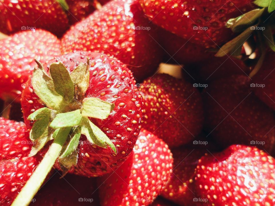 red strawberries