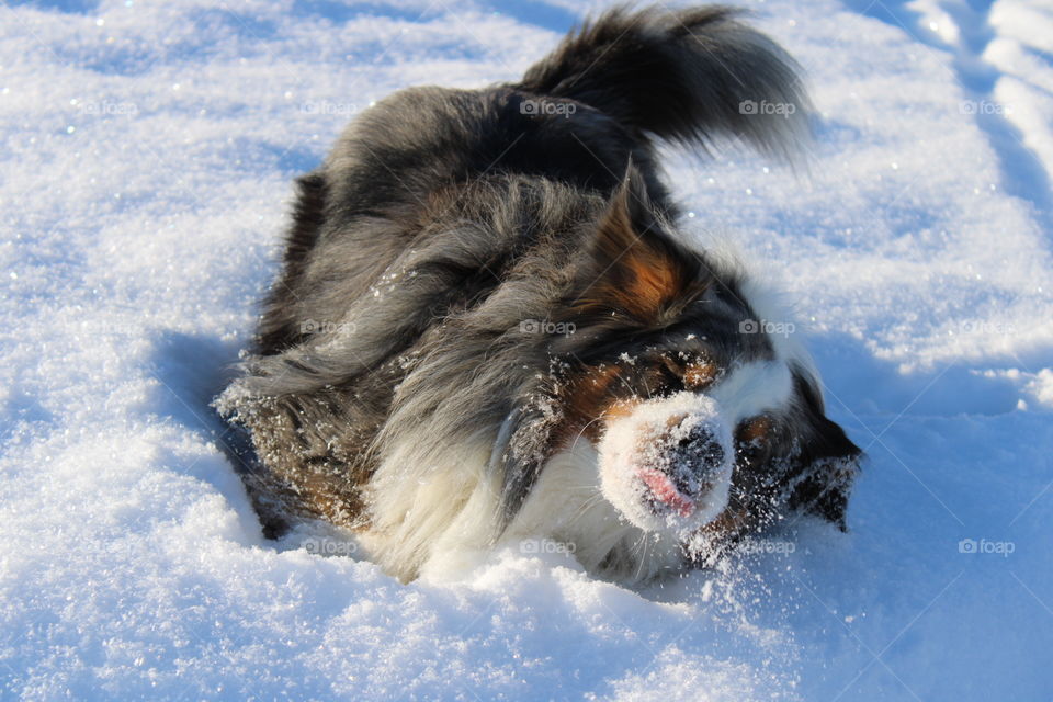 Glücklich im Schnee