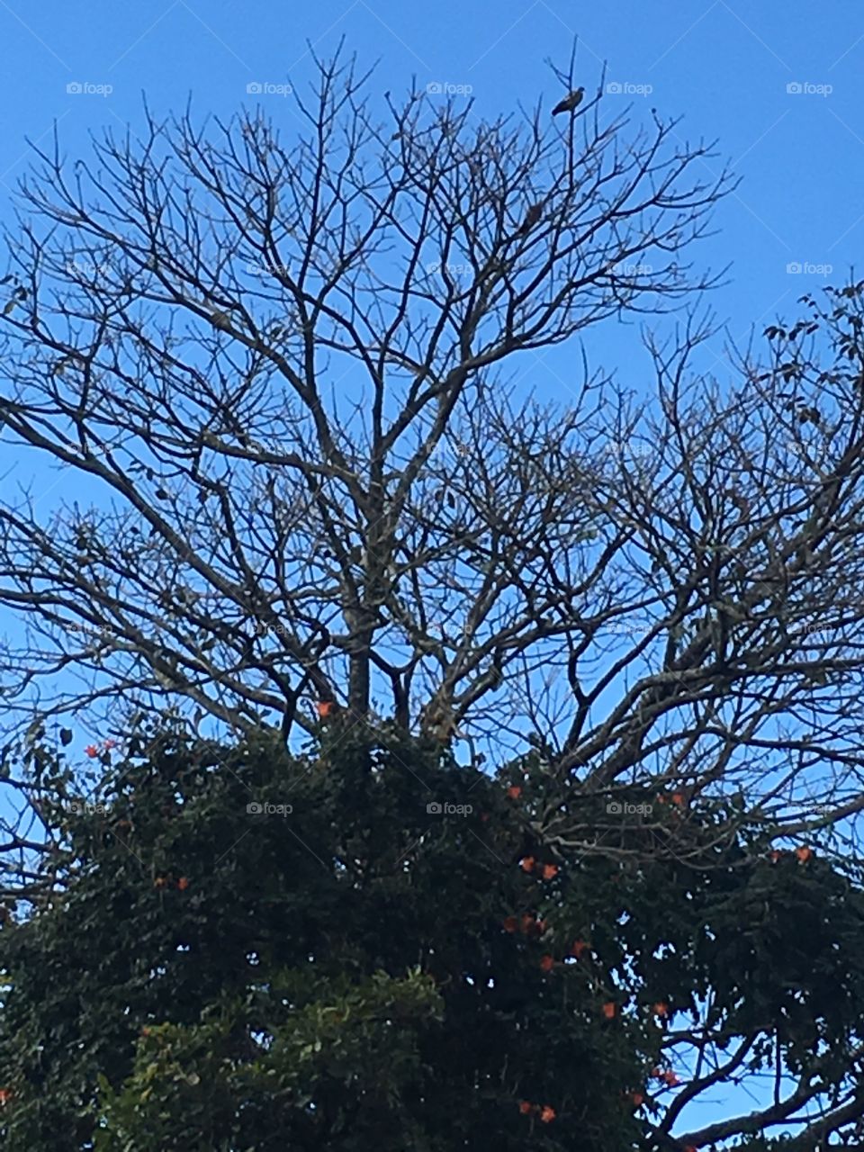 Como a natureza é perfeita 😍
