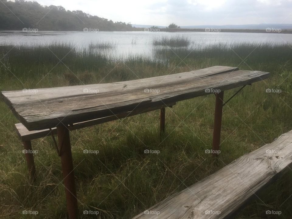 Table in nature