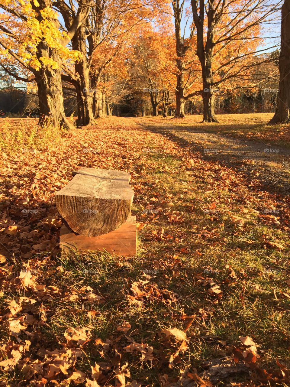Brookwood Farm - Milton Massachusetts in Fall