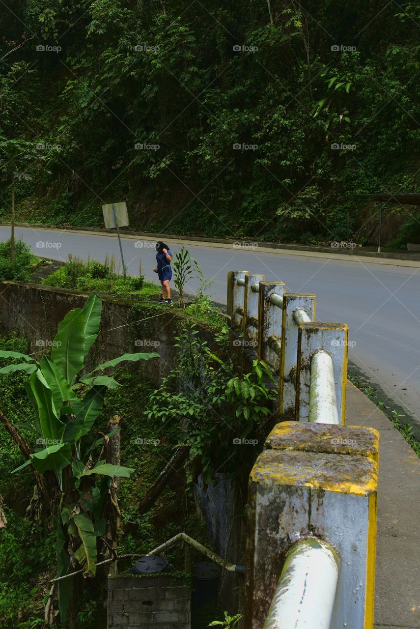 Perspective of road protection poles on a bridge