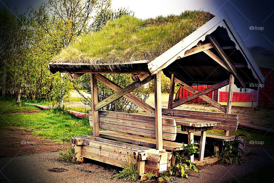 Summer in norway. Summer in norway