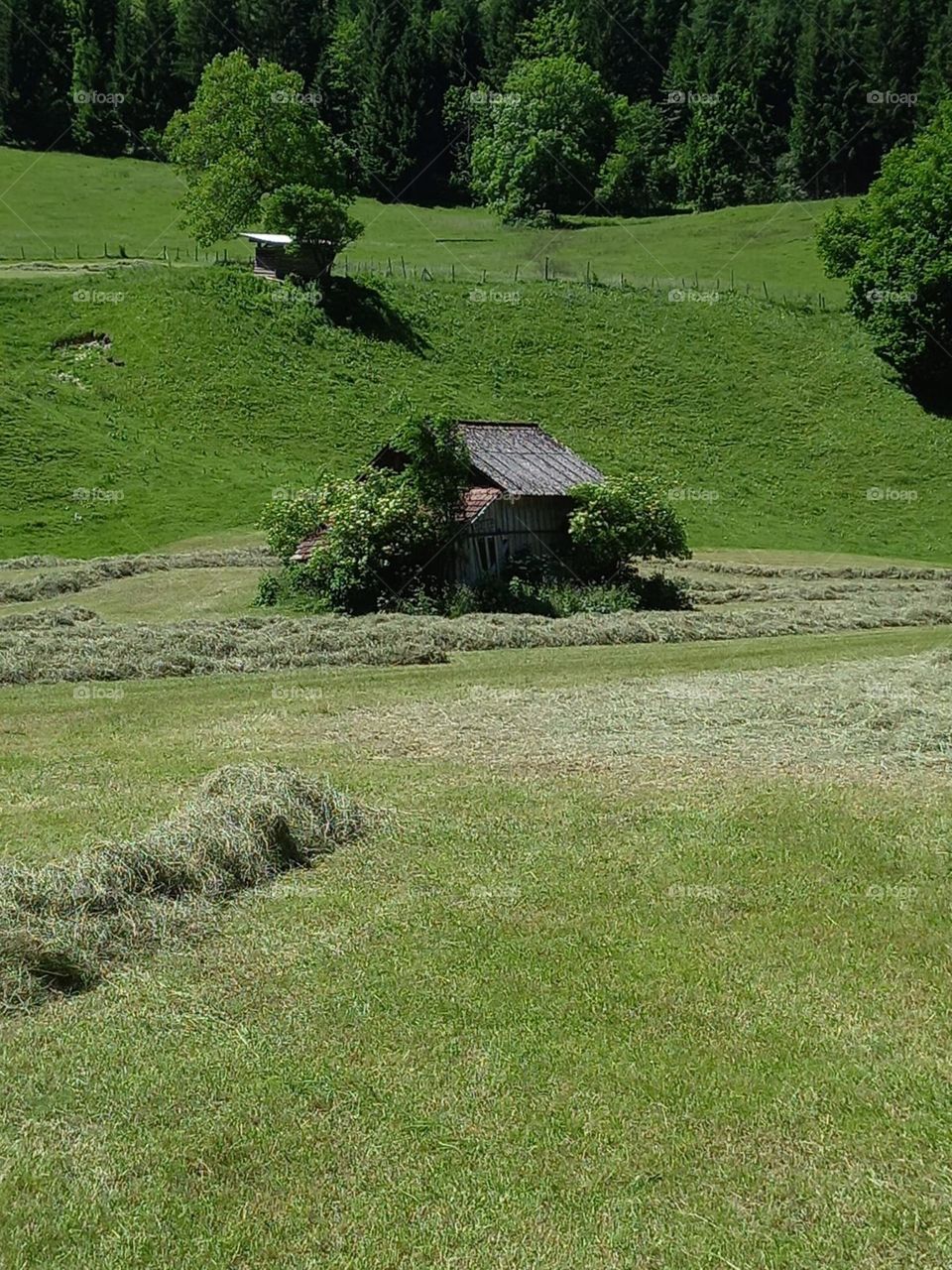Barn in Bavarian Countryside