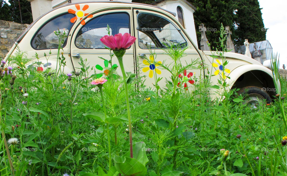 flowers car flower summer by urbanart
