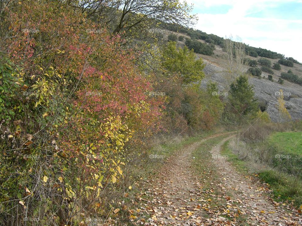 Otoño, paisaje romántico