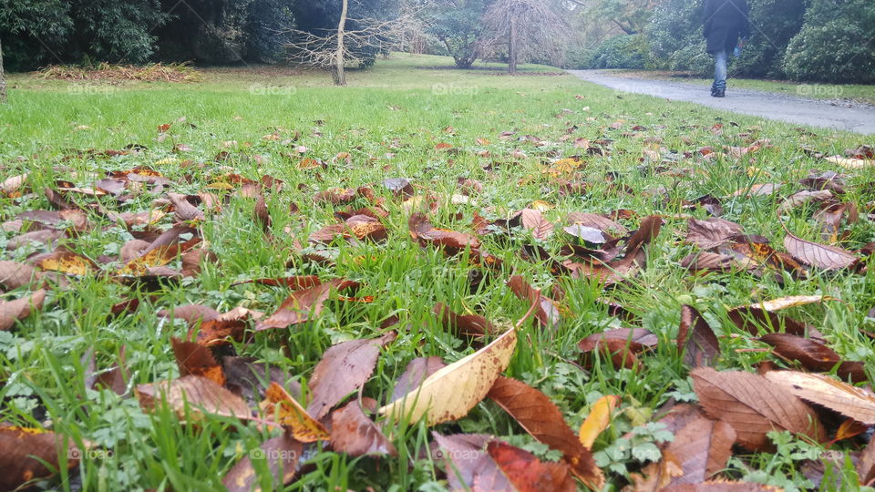 Taking a walk in beautiful serene North Ireland