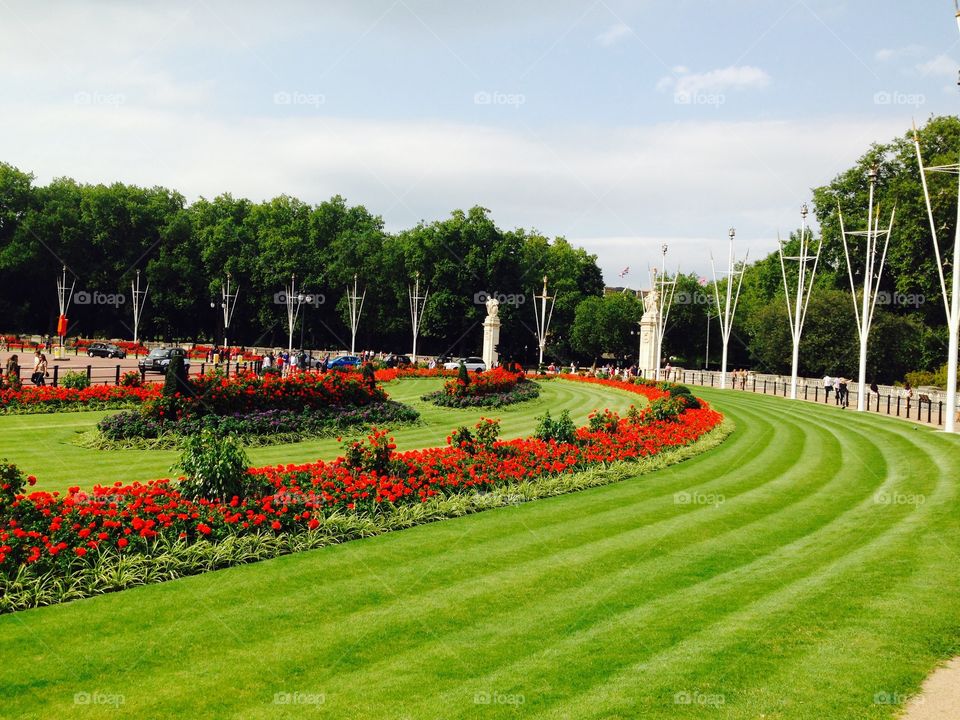 Gardens in central London. Greenery in central London, Buckingham palace 