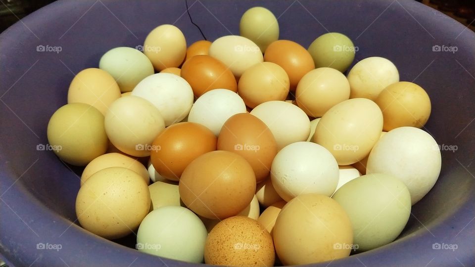 Ovos de galinhas caipiras.