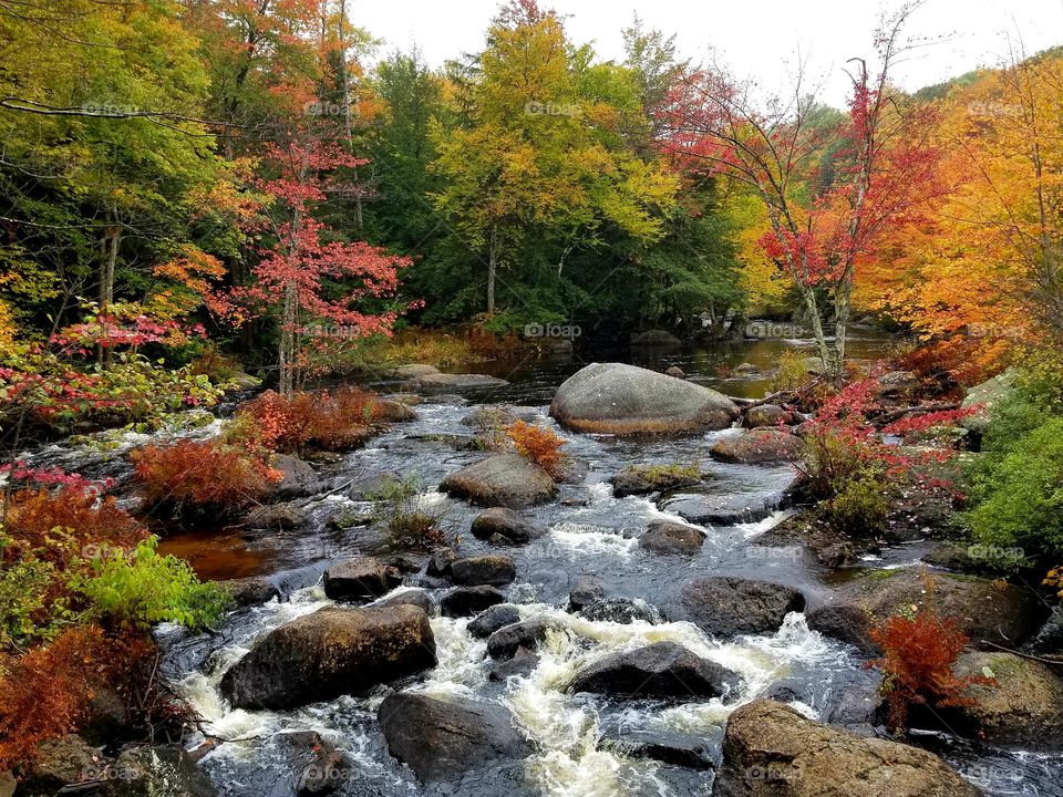 The beauty of fall in New England
