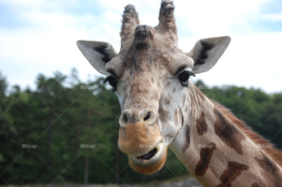 What are you  looking at?