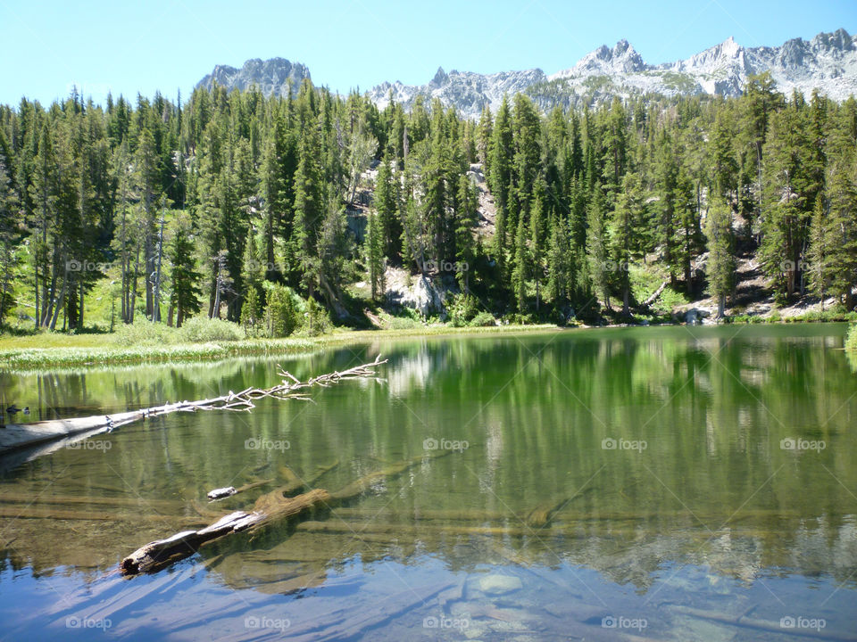 snow mountain trees lake by kenglund