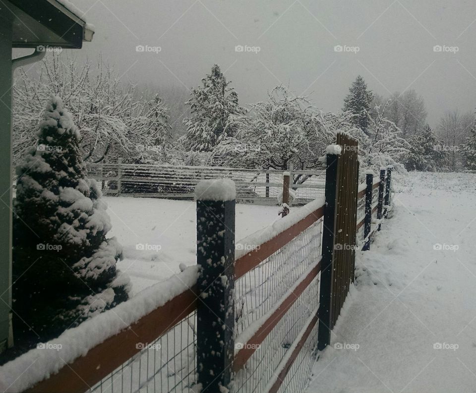 More Spring Snow On The Fence