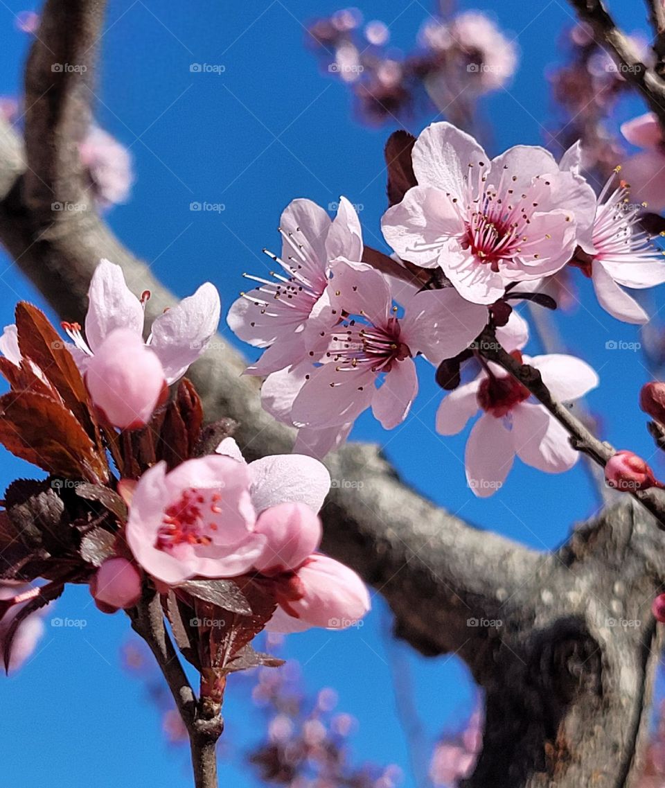 señales de primavera