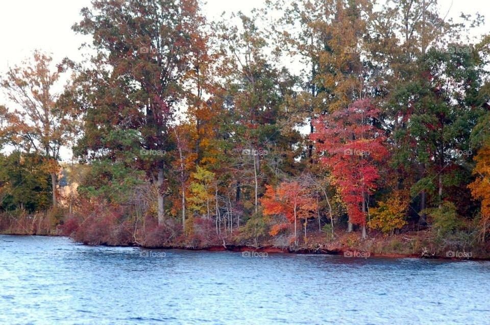 Fall Colors at the lake