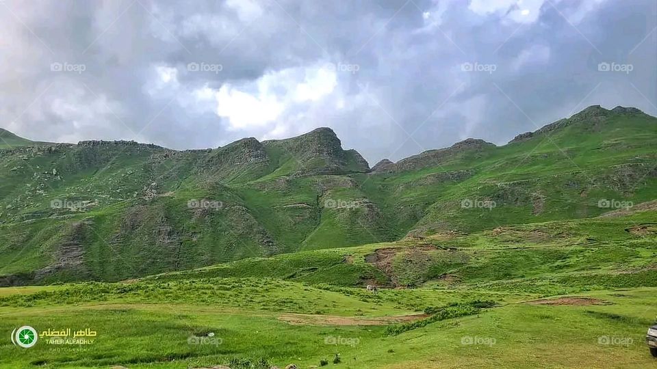 The image embodies a natural natural plate of the mountains of nature, where green agricultural stands are graded on the slopes as if they were lines of a poem, which fog harmoniously wrapped, and clouds hugged them in the mountain knife and the whis