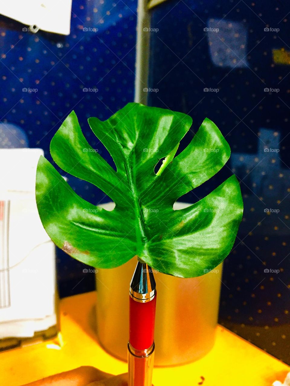 I just saw a piece of leaf in my office mate's Table and decided took a photo