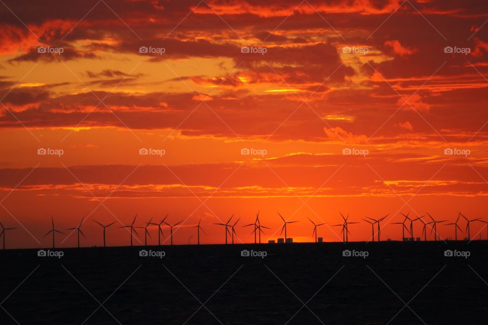 Sunset in the harbour