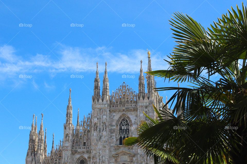 View through the palm branches of the Milan Cathedral.  Duomo di Milano. Perfect harmony of nature and art