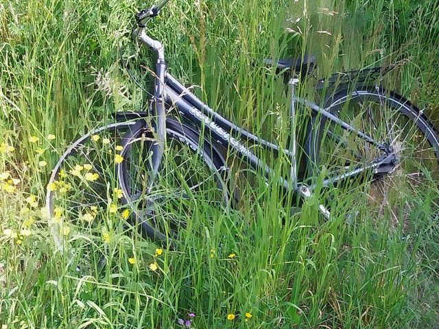 lonely bicycle