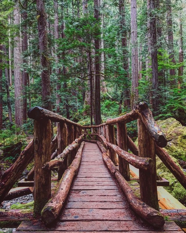 Wooden Bridge on hike
