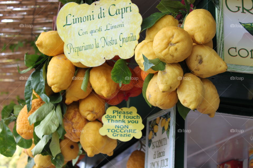 Large lemons on the counter and an inscription in English and Italian-please do not touch the lemons from the island of Capri. the island of Capri, Italy