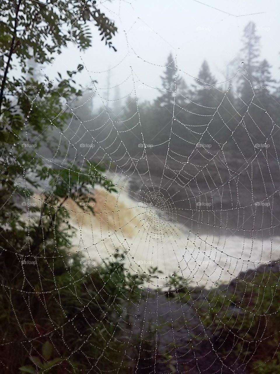 spider web and falls. spider web on bridge overlooking Temperance River