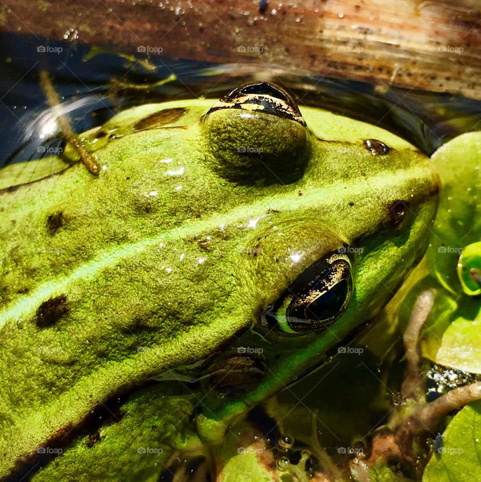 Captured with iPhone 6s Plus 