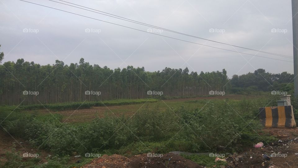 long views the farmer land