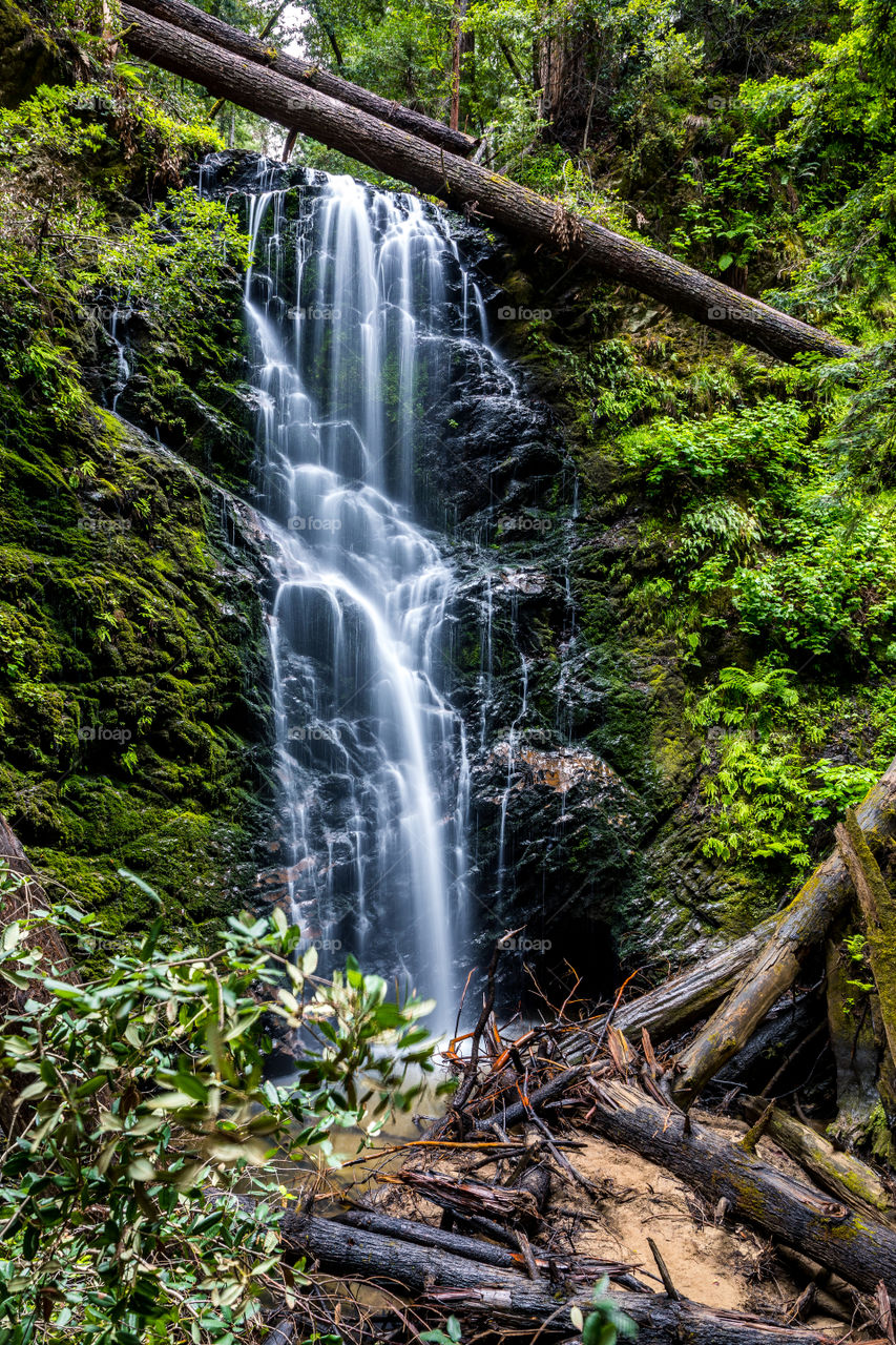 A waterfall found deep into the woods, a lush green forest.