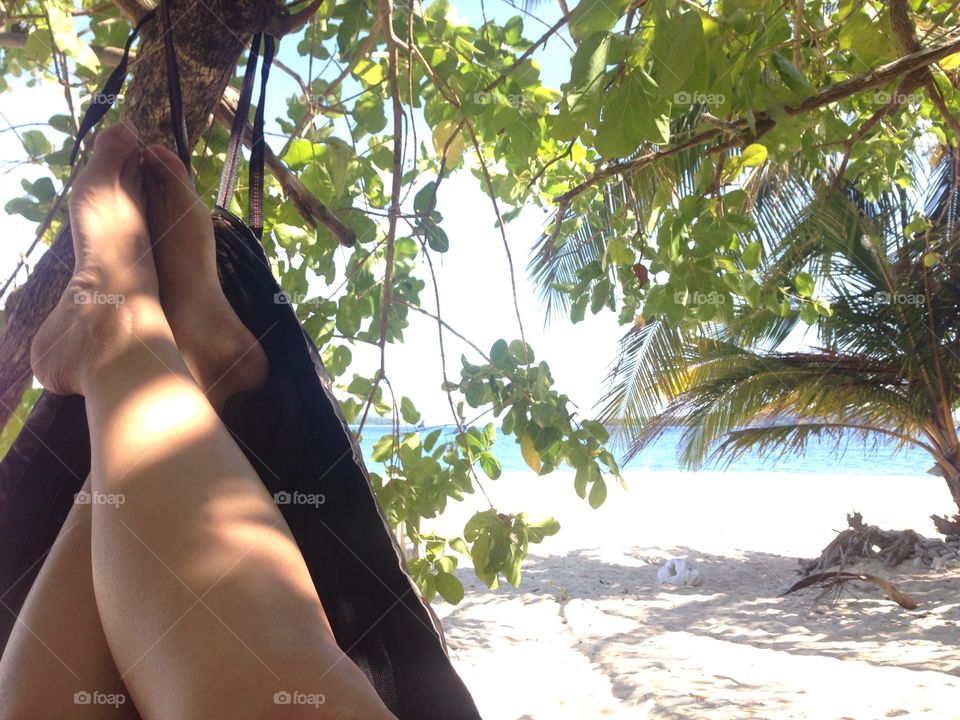 Summer in a hammock