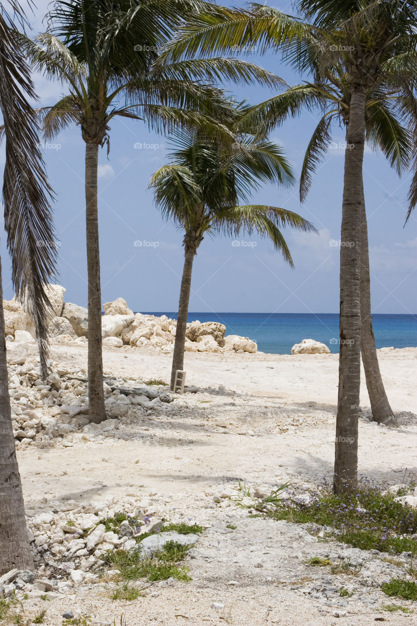 Beach, Sand, No Person, Seashore, Tropical