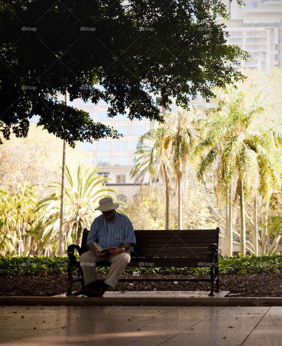 photo story, Old man sitting on a bench, reading a book at a park